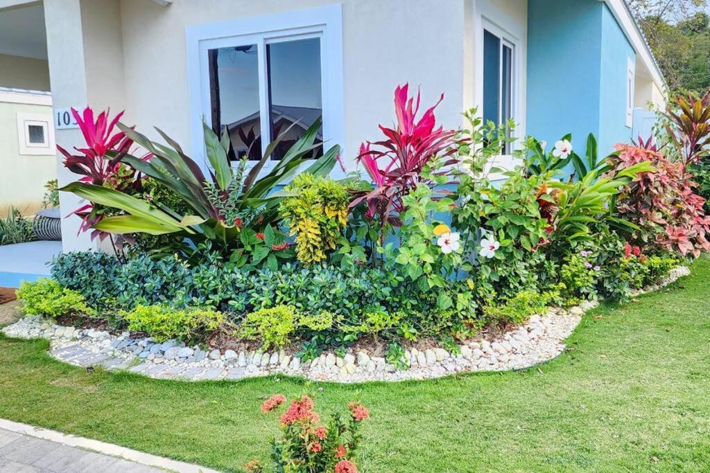 Snooze At Oceanpointe Vila Lucea Exterior foto